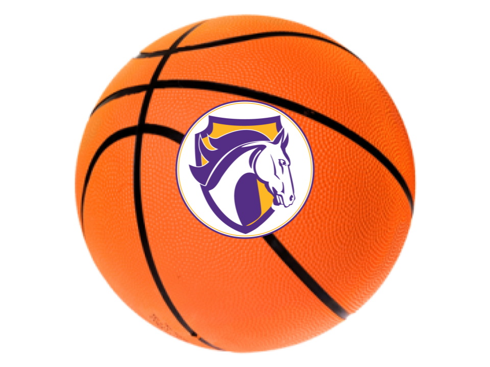 Basketball with Colts Logo